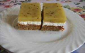 Tvarohový zákusok s egrešom